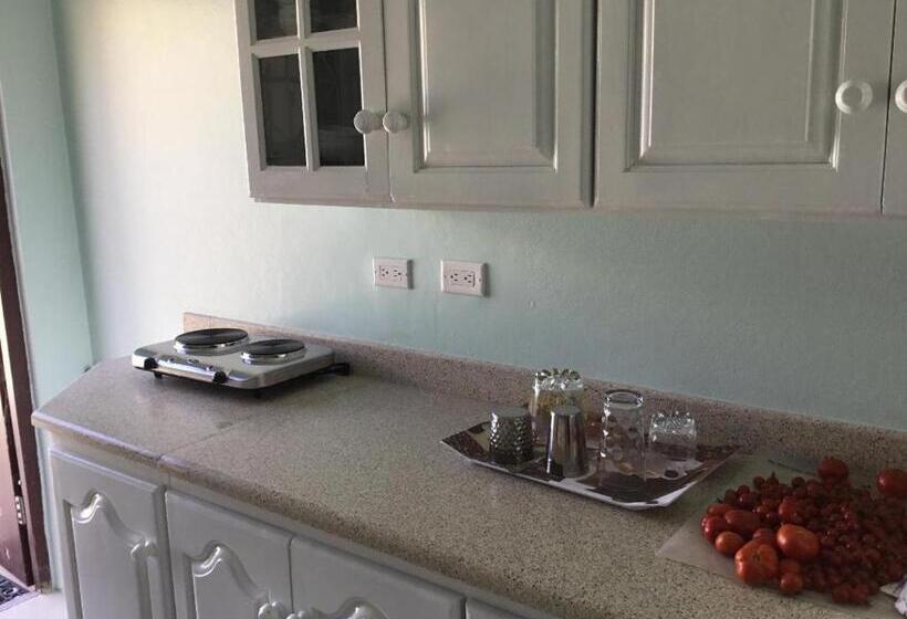 اتاق استاندارد با تخت بزرگ, Cool Breeze Discovery Bay