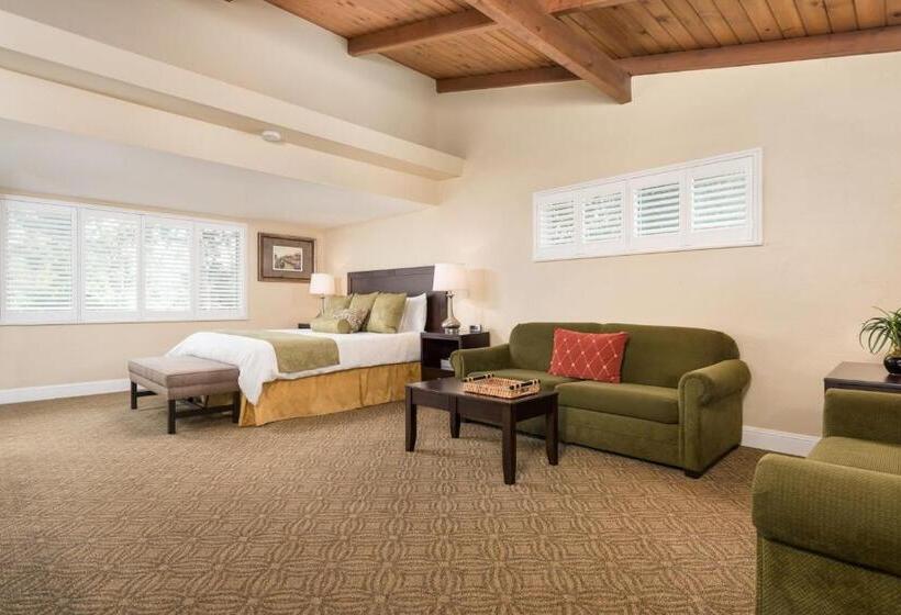 إستوديو قياسى سرير كينج, Country Inn Motel