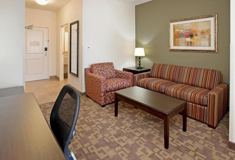 이그제큐티브 스위트 킹침대, Holiday Inn Express Hotel & Suites Topeka North By Ihg