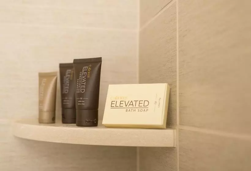 استودیوی استاندارد با تخت دوبل, Ayres Suites Diamond Bar