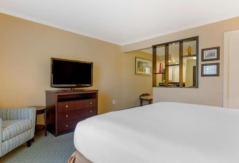 מיטת קינג בסוויטה, Best Western Davison Inn