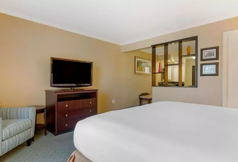 キングサイズベッドのスイートルーム, Best Western Davison Inn