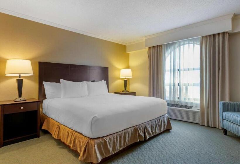 מיטת קינג בסוויטה, Best Western Davison Inn