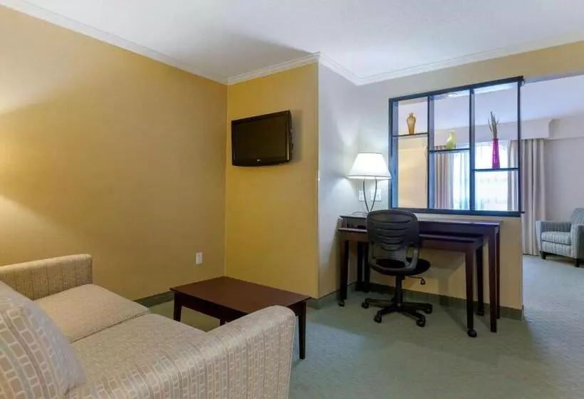 キングサイズベッドのスイートルーム, Best Western Davison Inn
