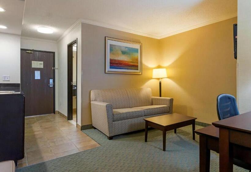 מיטת קינג בסוויטה, Best Western Davison Inn
