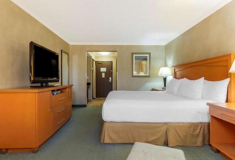 חדר סטנדרט עם מיטת קינג, Best Western Davison Inn