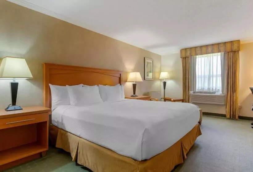 キングサイズベッドのスタンダードルーム, Best Western Davison Inn