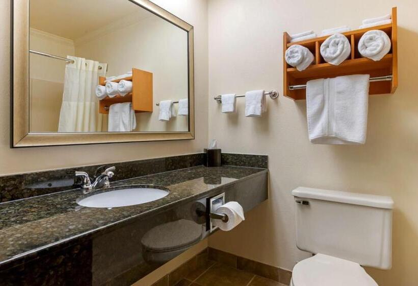 חדר סטנדרט, Best Western Davison Inn