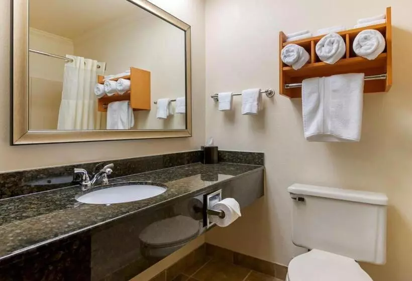 スタンダードルーム, Best Western Davison Inn