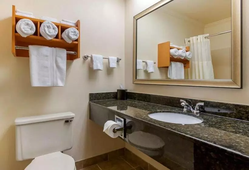 スタンダードルーム, Best Western Davison Inn