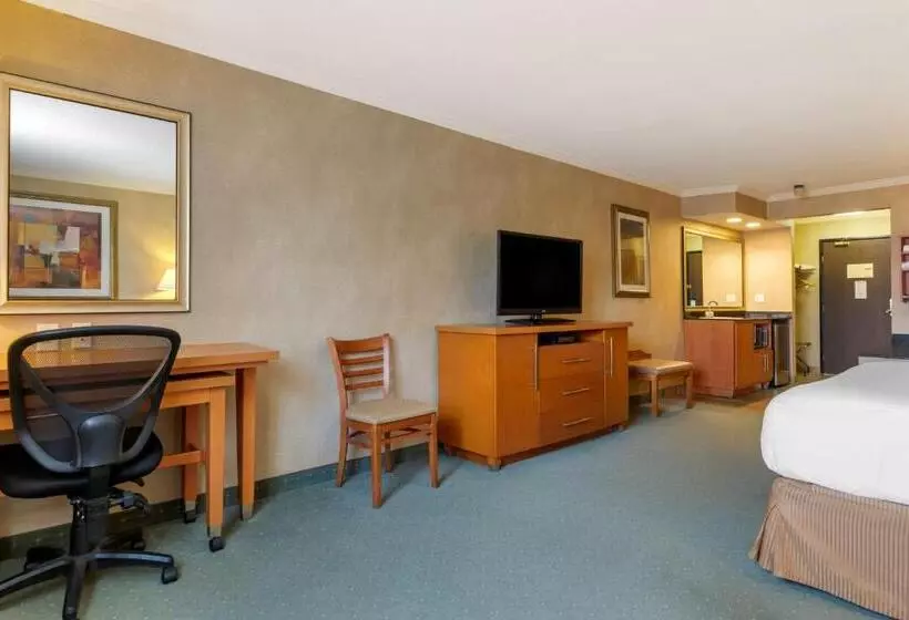 キングサイズベッドのデラックスルーム, Best Western Davison Inn