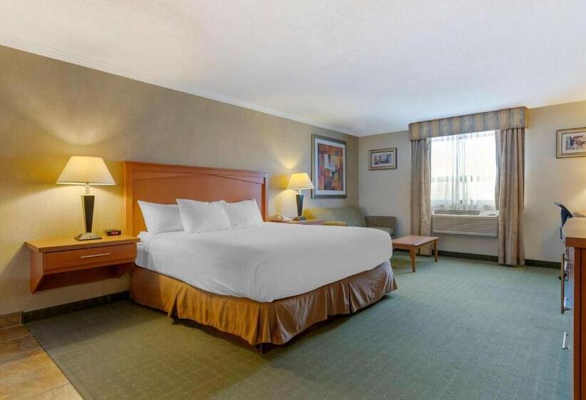 חדר דחוקס עם מיטת קינג, Best Western Davison Inn