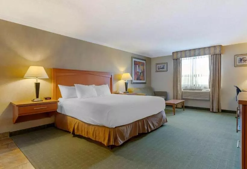キングサイズベッドのデラックスルーム, Best Western Davison Inn