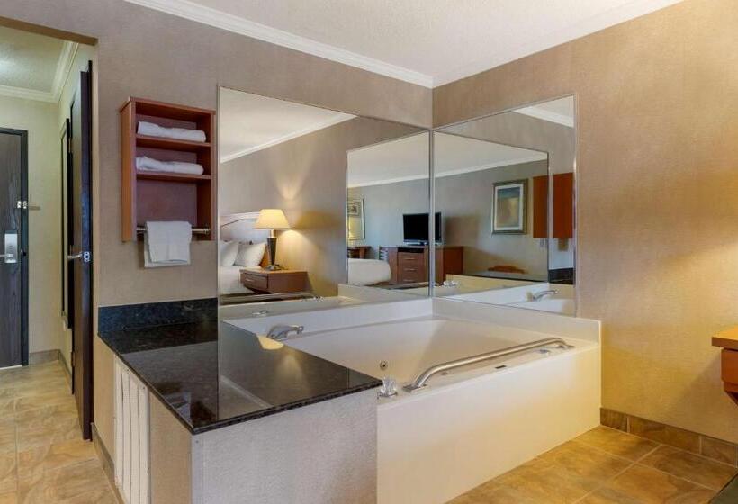חדר דחוקס עם מיטת קינג, Best Western Davison Inn