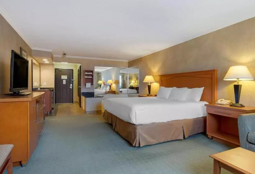 キングサイズベッドのデラックスルーム, Best Western Davison Inn