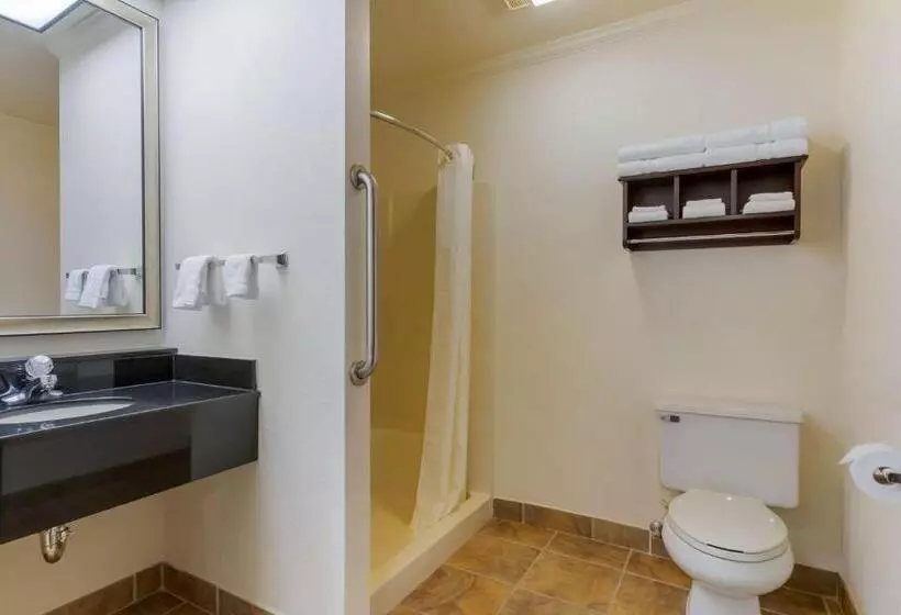 キングサイズベッドのデラックスルーム, Best Western Davison Inn