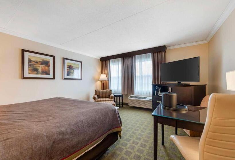 غرفة قياسية سرير كينج, Best Western Plus White Bear Country Inn