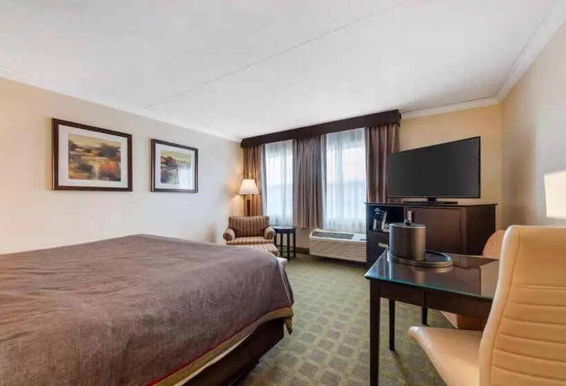 Standard-huone King-vuode, Best Western Plus White Bear Country Inn