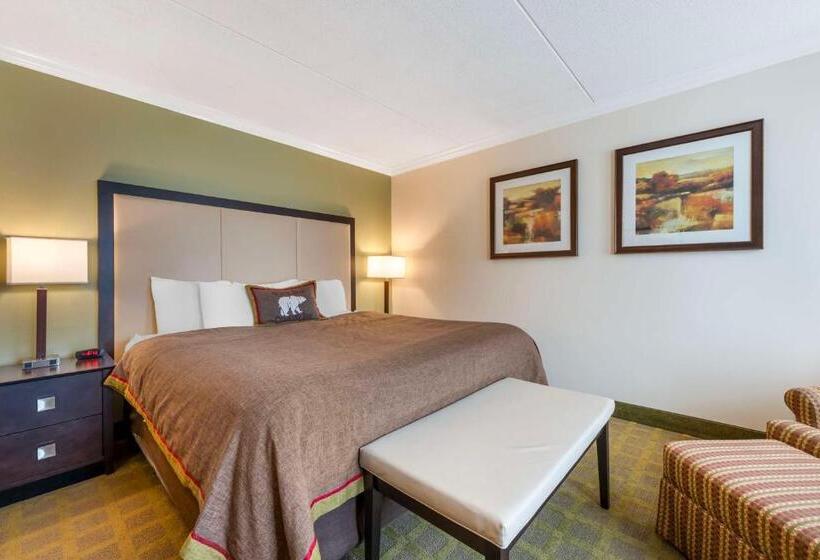 غرفة قياسية سرير كينج, Best Western Plus White Bear Country Inn