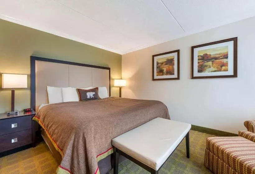 Standard-huone King-vuode, Best Western Plus White Bear Country Inn