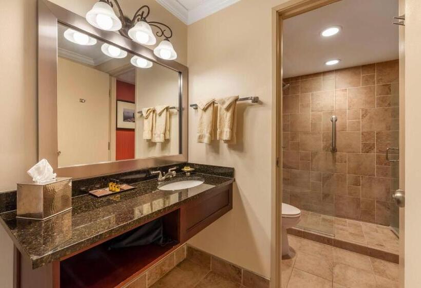 Стандартный Номер Кровать Кинг, Best Western Plus White Bear Country Inn