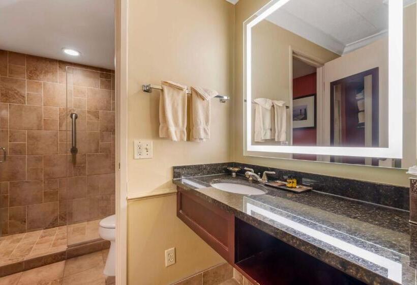 Номер Стандарт, Best Western Plus White Bear Country Inn