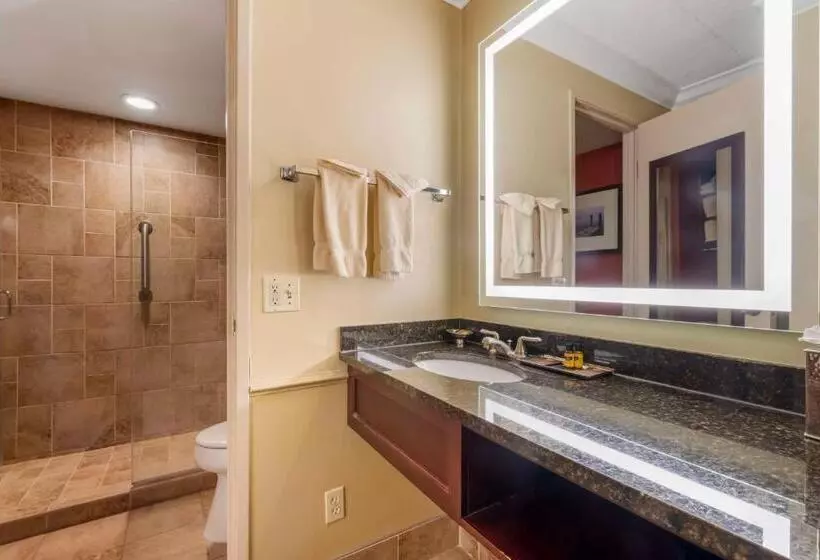 Standard-huone, Best Western Plus White Bear Country Inn