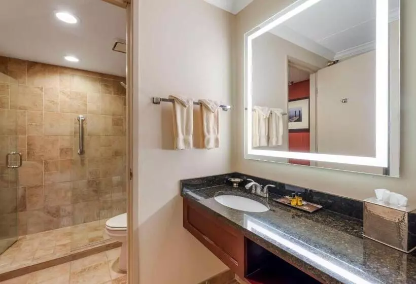 Executive-huone King-vuode, Best Western Plus White Bear Country Inn