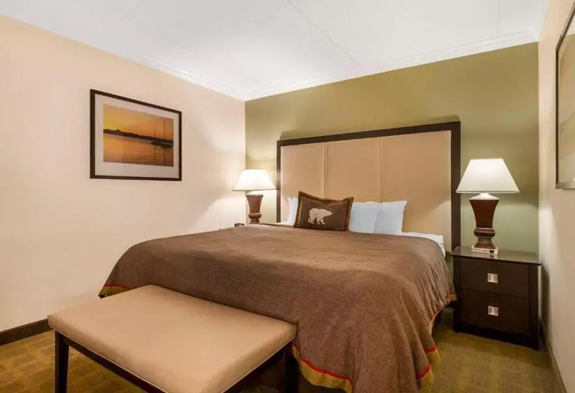 Executive-huone King-vuode, Best Western Plus White Bear Country Inn