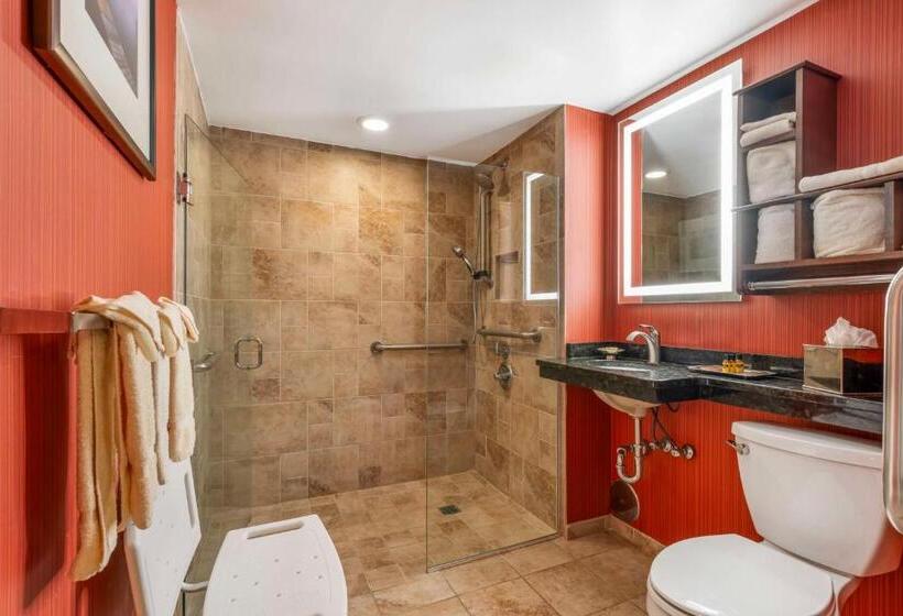 Номер Стандарт Адаптированный для Инвалидов, Best Western Plus White Bear Country Inn