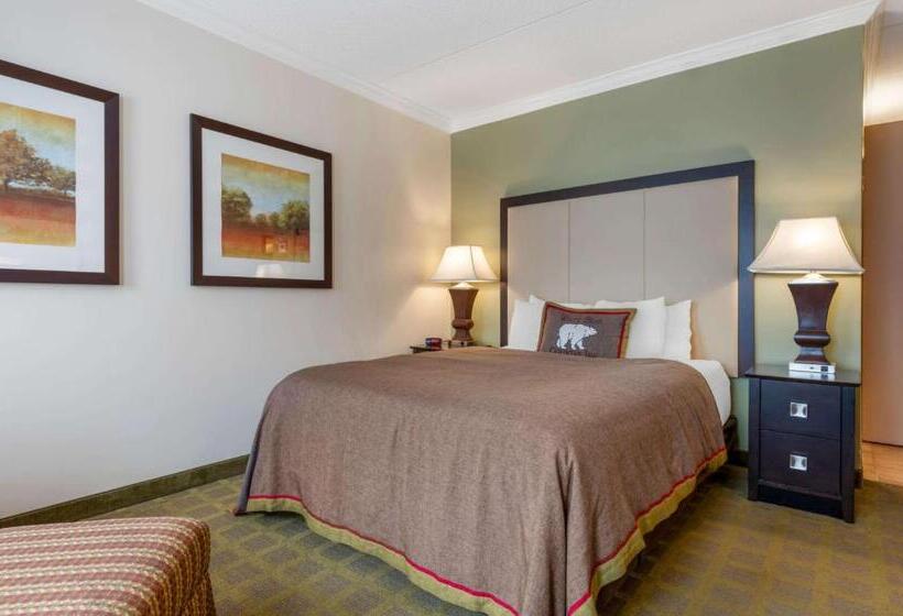 غرفة قياسية لذوى الاحتياجات الخاصة, Best Western Plus White Bear Country Inn