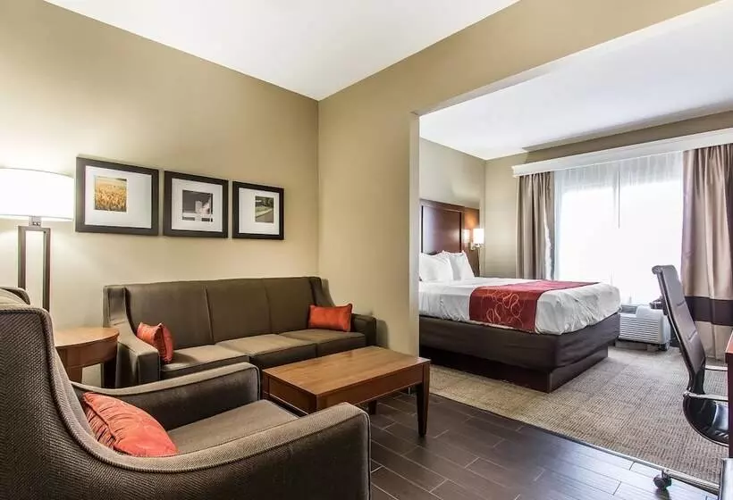 スイート, Comfort Suites Effingham