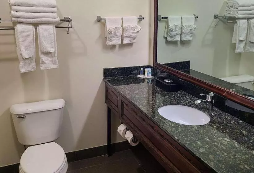 Executive-sviitti King-vuode, Comfort Suites Madison West