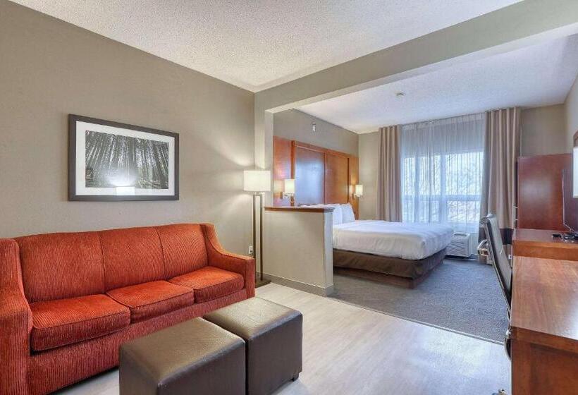 Люкс Executive Кровать Кинг, Comfort Suites Madison West