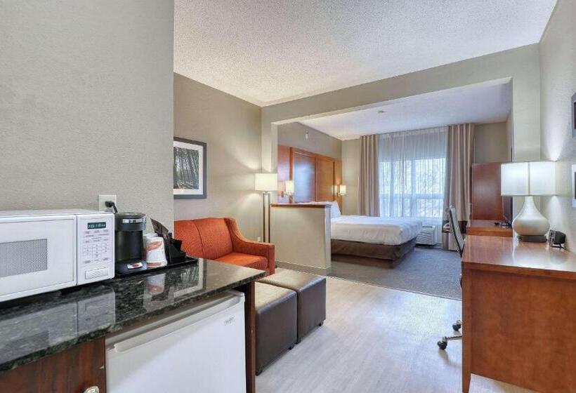 Люкс Executive Кровать Кинг, Comfort Suites Madison West