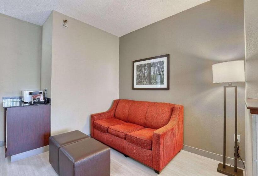 Люкс Executive Кровать Кинг, Comfort Suites Madison West