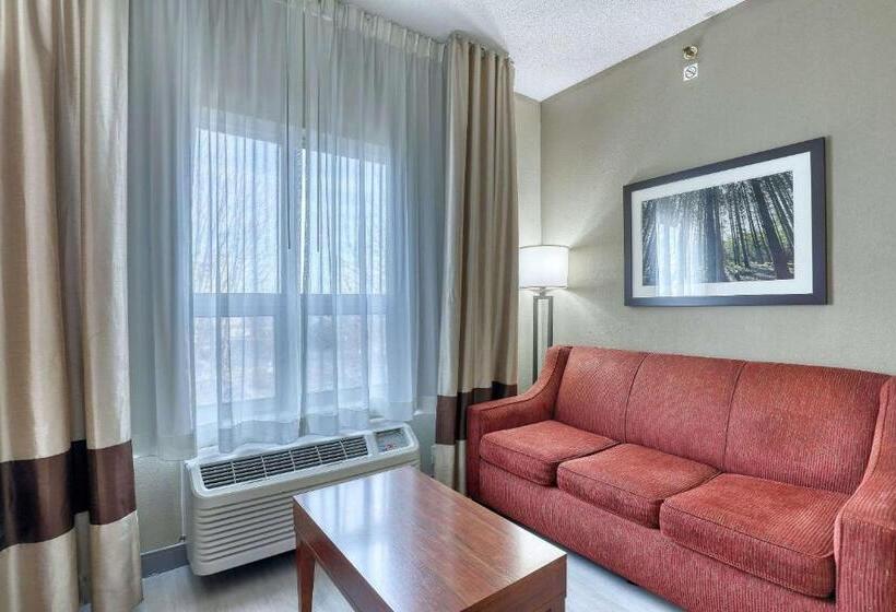 Люкс Executive Кровать Кинг, Comfort Suites Madison West