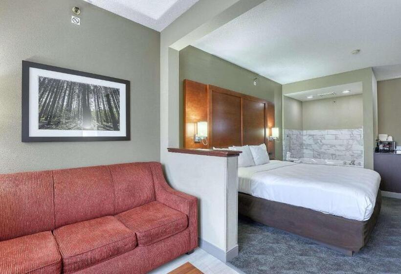 Люкс Кровать Кинг, Comfort Suites Madison West