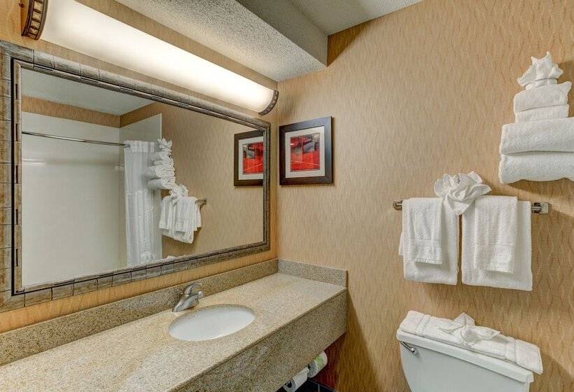 スイート, Comfort Suites Raleigh Durham Airport/rtp