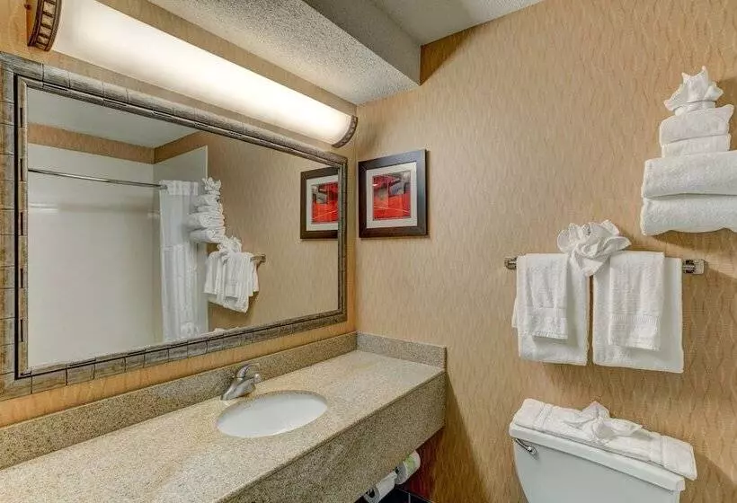 スイート, Comfort Suites Raleigh Durham Airport/rtp