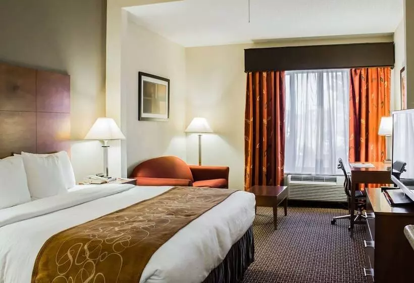 スイート, Comfort Suites Raleigh Durham Airport/rtp