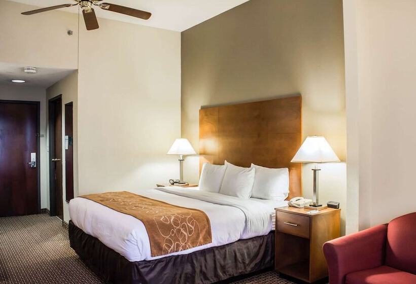 スイート, Comfort Suites Raleigh Durham Airport/rtp