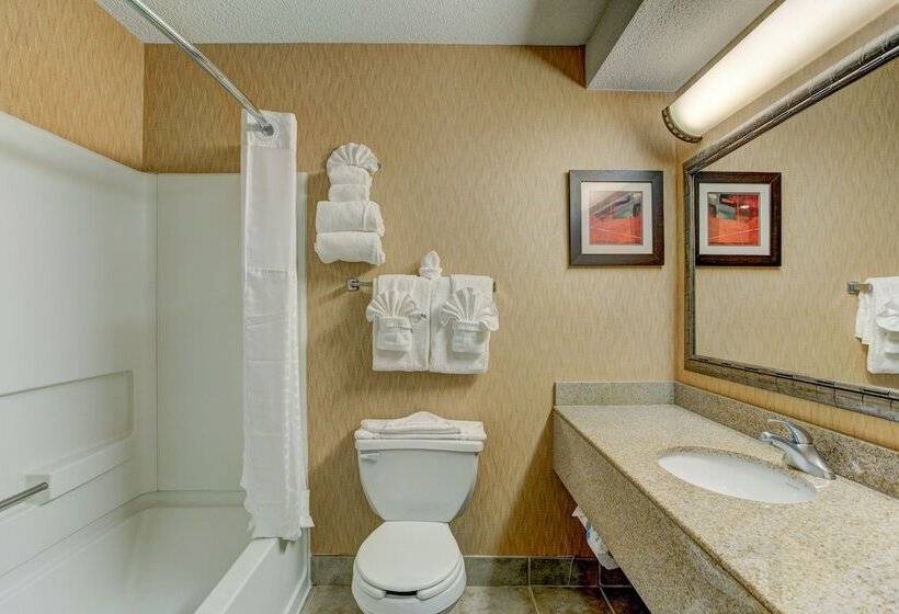 スイート, Comfort Suites Raleigh Durham Airport/rtp