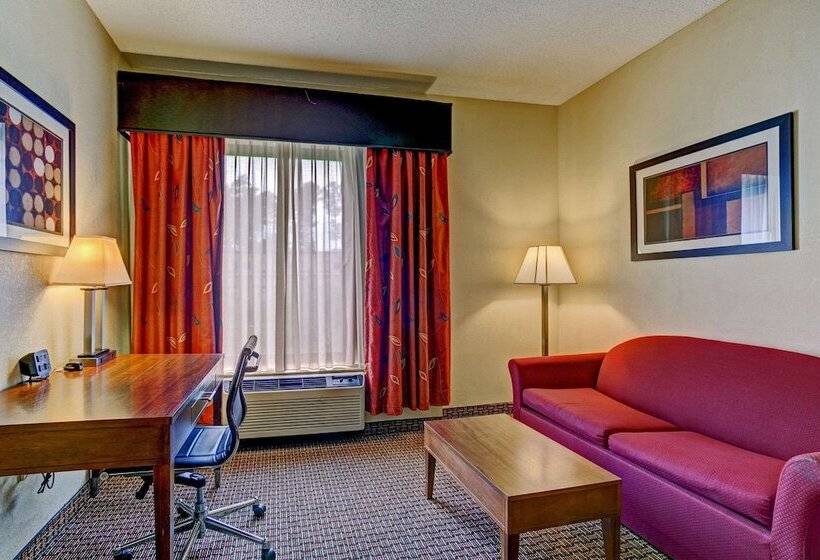 Люкс, Comfort Suites Raleigh Durham Airport/rtp