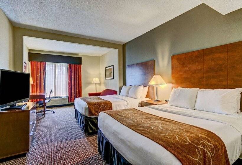 スイート, Comfort Suites Raleigh Durham Airport/rtp