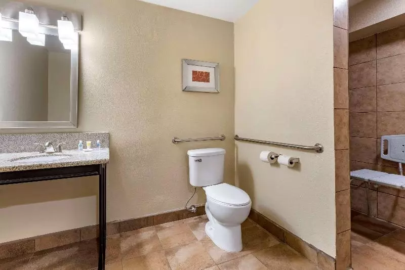 سوئیت با تخت بزرگ, Comfort Suites San Clemente Beach