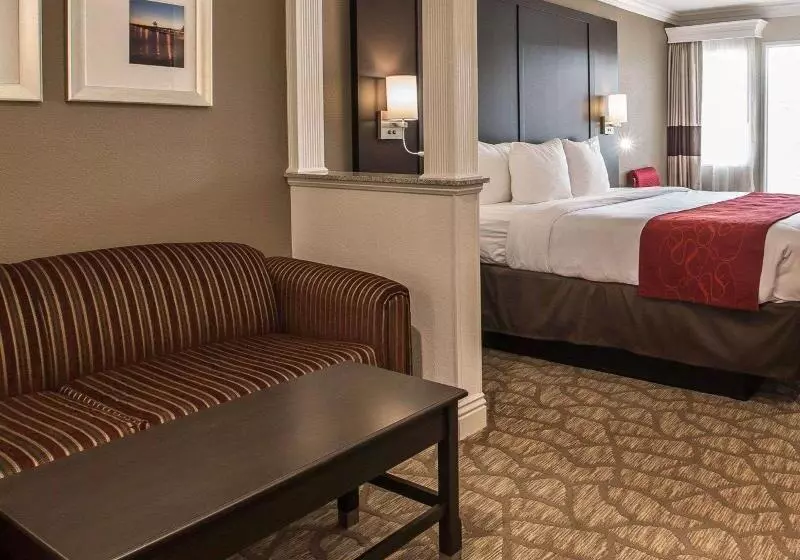 سوئیت با تخت بزرگ, Comfort Suites San Clemente Beach