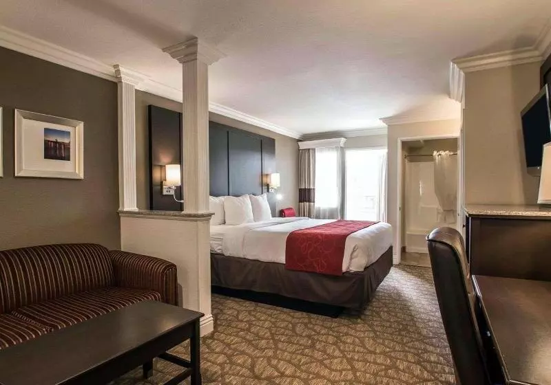 سوئیت با تخت بزرگ, Comfort Suites San Clemente Beach