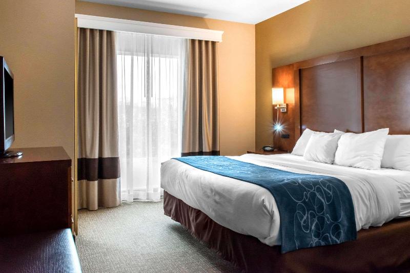 سوئیت با تخت بزرگ, Comfort Suites Scranton Near Montage Mountain