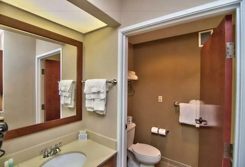 スイート, Comfort Suites Scranton Near Montage Mountain